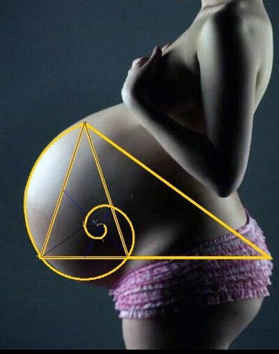 preg golden ratio