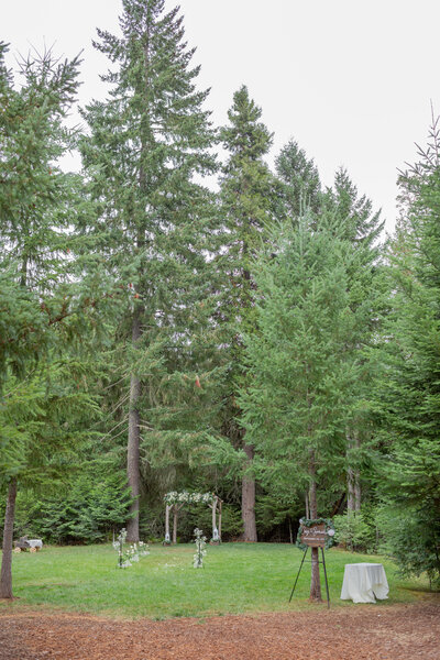 Seattle Wedding Planner Investment Packages with photo of outdoor forest wedding