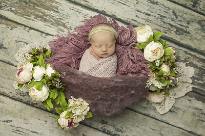 baby posed with flowers and purple wrap by Philadelphia Newborn Photographer