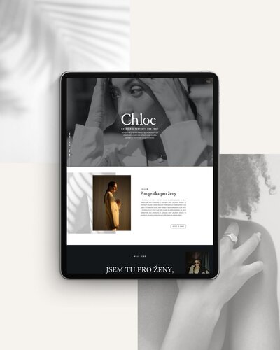 showit-sablony-pro-web12