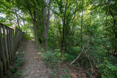 400 Wickham trails (5)