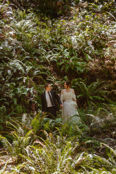 Couple walking hand-in-hand among an expanse of ferns during their redwood forest wedding portraits in Northern California