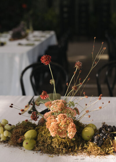 meagan-hilss-events-san-diego-botanic-garden-event-setup