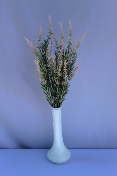 Pink Lavender for retn