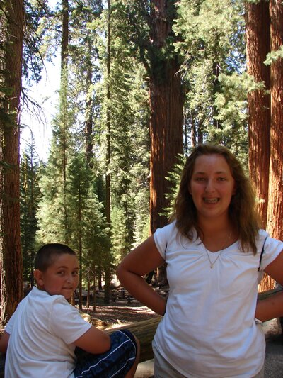 sequoia 2011 1