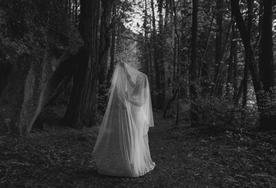 Blue hour PNW elopement