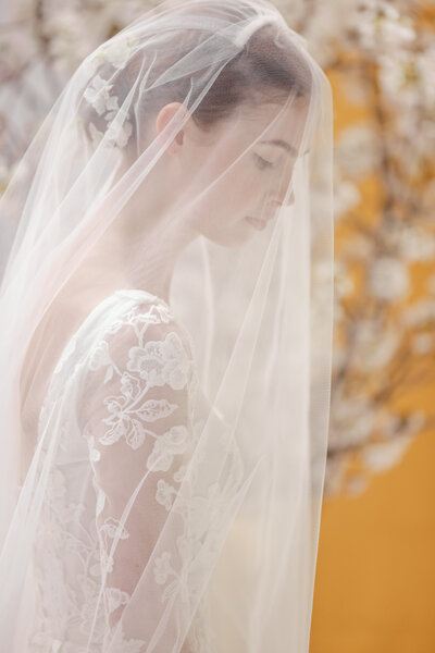 Bridal Runway with veil