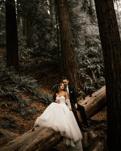 bride and groom sitting on a tree