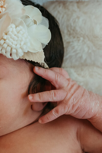 charlotte-family-photographer-intimate-newborn-session