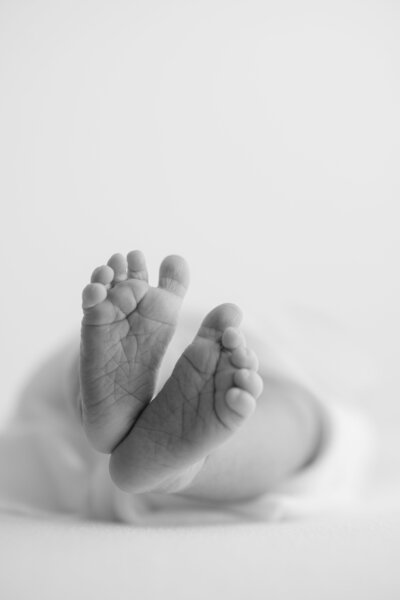 Little Palm Newborn Photography Northern California