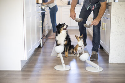 pet-product-photographer-san-diego