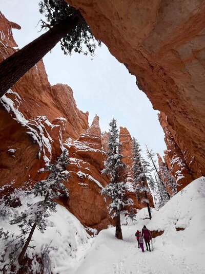 Snow at Bryce Canyon by Nate Robinson Photography