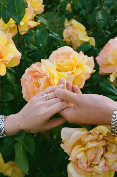 35mm-film-engagement-session-southern-california