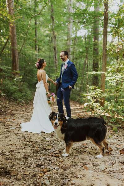 Bride and Groom hold hands with dog in the forefront at Rock Creek Park in Washington DC
