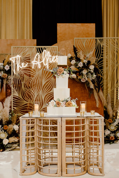 Anisha-Tariq-Wedding-Day4-JessicaJonesPhotography268