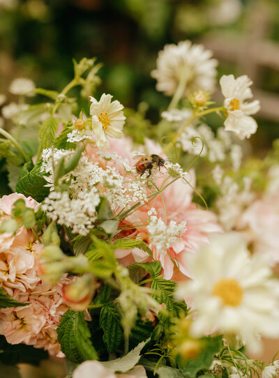 Close-up of a wedding bouquet with wildflowers and a bee landing on white blooms, photographed by a Washington wedding photographer.