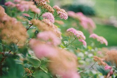 Maine Wedding Photographer, About Me Page
