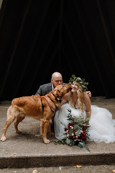 bride and groom petting dog