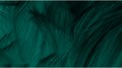 Stock Brand Photography for Wild Woman Haus