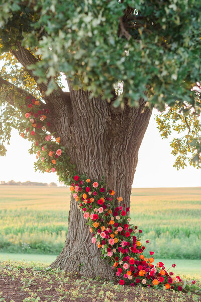 Large oak tree decorated with bright pink and red flowers