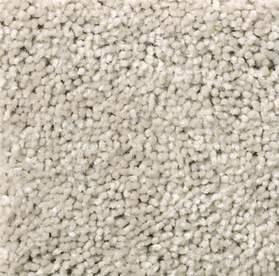 Light Neutral Carpet