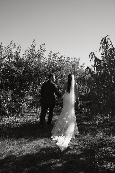 bride and groom walking in a vineyard