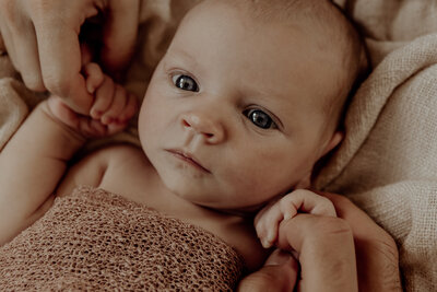 Brisbane newborn photography, newborn baby girl