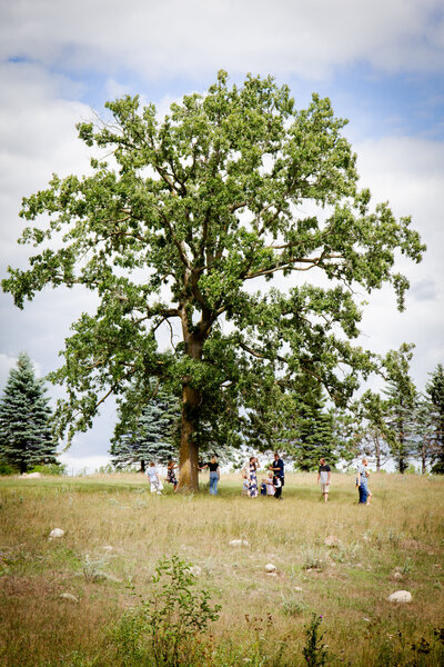 central minnesota, outdoor wedding venue, gentle rolling hills, Hillman MN,