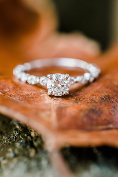 taylor_eric_engaged-5944