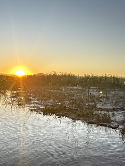 Sunset over lake with reeds