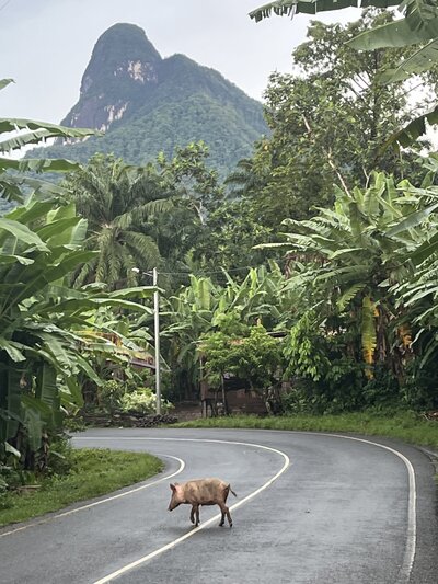 sao tome 7