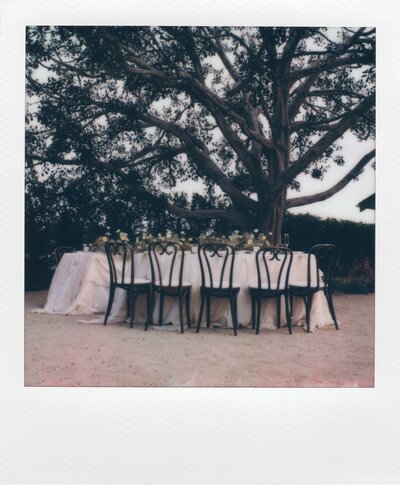 POLAROID09