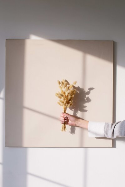 womans hand holding sheaf of wheat over neutral background