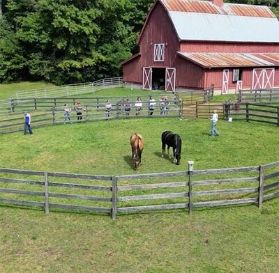 Drone view of horses and barn at south carolina retreat facility