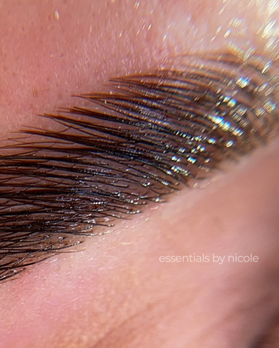 expert brow waxing. shaping is done before we proceed with any hair removal to ensure client is happy.