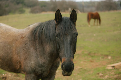 2021-03-08 HOW - Kori + Jared Photography-159