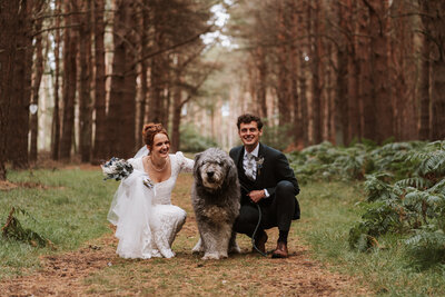 Pug dog smiling at scottish wedding venue