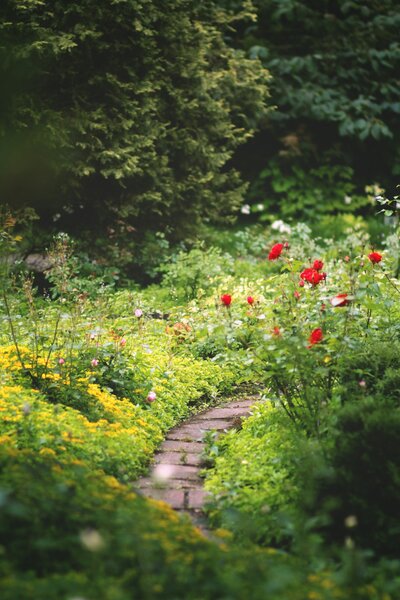 Pollinator Gardens Texoma | Organic Pollinator Gardens Van Alstyne Texas 