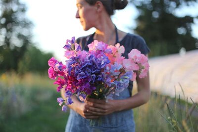 Sweet Peas are a romantic addition to our Carmel bridal bouquets