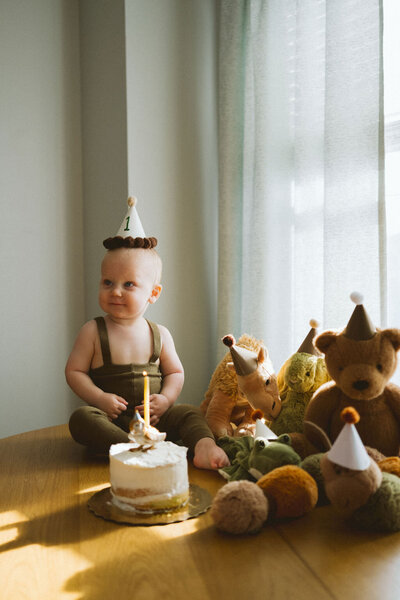 little boy turning one celebrates with a cake and stuffed animals with party hats on