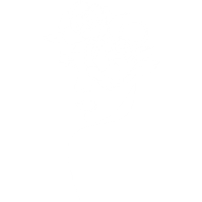 Minimalist line drawing of a woman’s face with peony flowers in her hair. Strength & beautify in mind