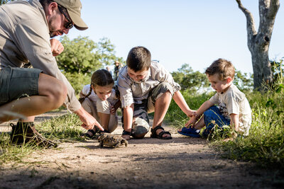 African safari experiences