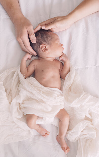 Shepherd Newborn-142