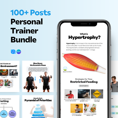 PT MOCKUP BUNDLE