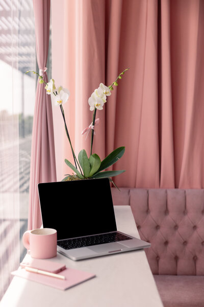 Stephanie Seija Content Marketing - laptop on desk by pink curtains