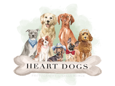 Newcastle dog photographer 