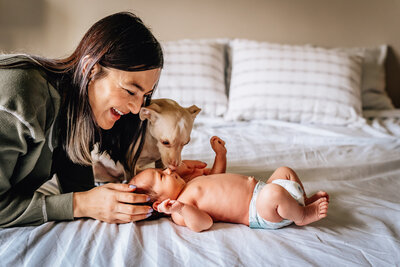 A mother lying on a bed next to her newborn baby, who is receiving gentle licks from a small dog.