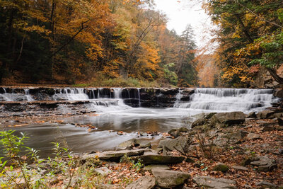 A serene waterfall nestled in the woods, surrounded by lush green trees, showcasing nature's beauty near Cleveland.