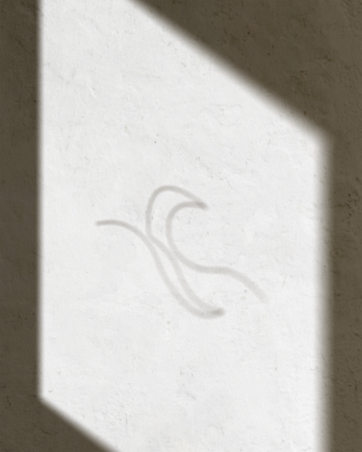 Logo réalisé par Baije Studio pour l'entreprise Siempre Production