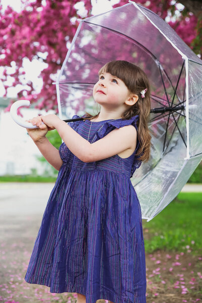 Girl holding an umbrella | Family Photography taken by Maine Photographer